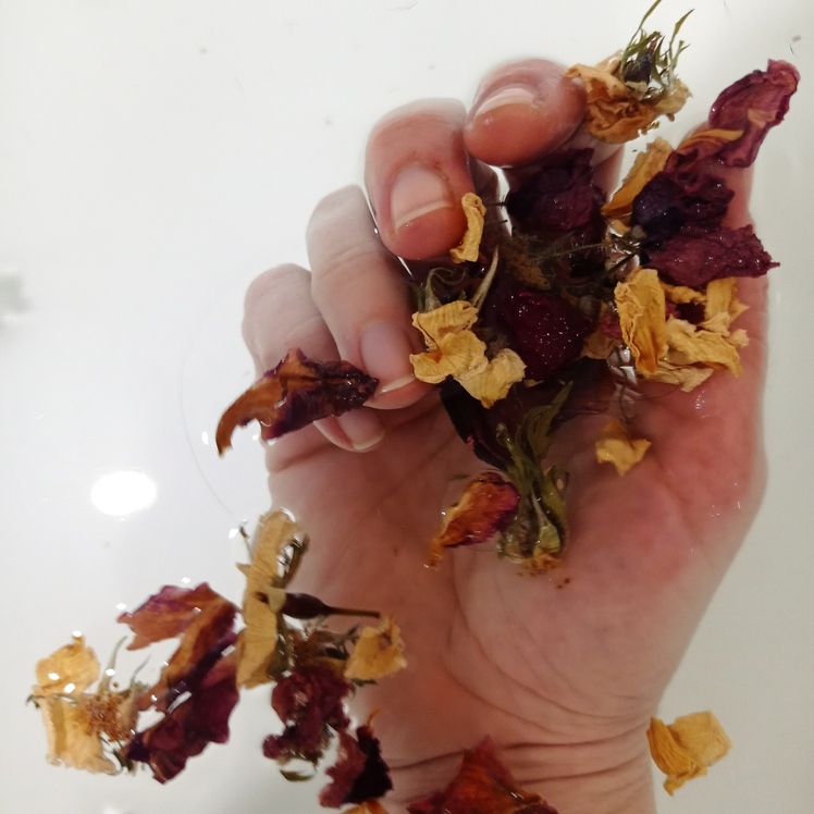 Composicion-fotografica-mano-y-rosas-en-agua Composicion-fotografica-mano-y-rosas-en-agua