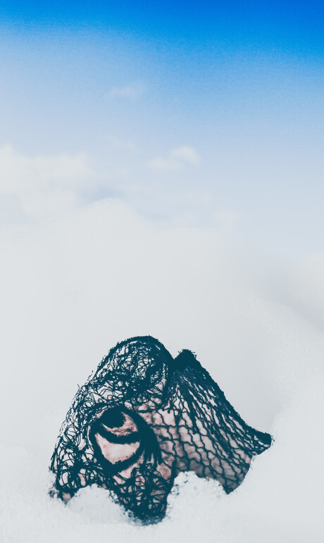 Collage-fotografico-con-espuma-y-pez sobre-cielo-azul Collage-fotografico-con-espuma-y-pez sobre-cielo-azul